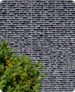 AdobeStock Wunschel Webdesign